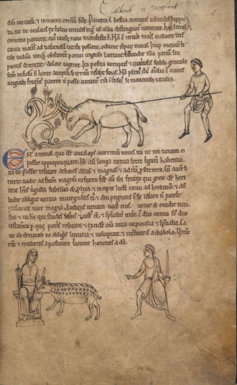 Sample page - British Library Additional MS 11283