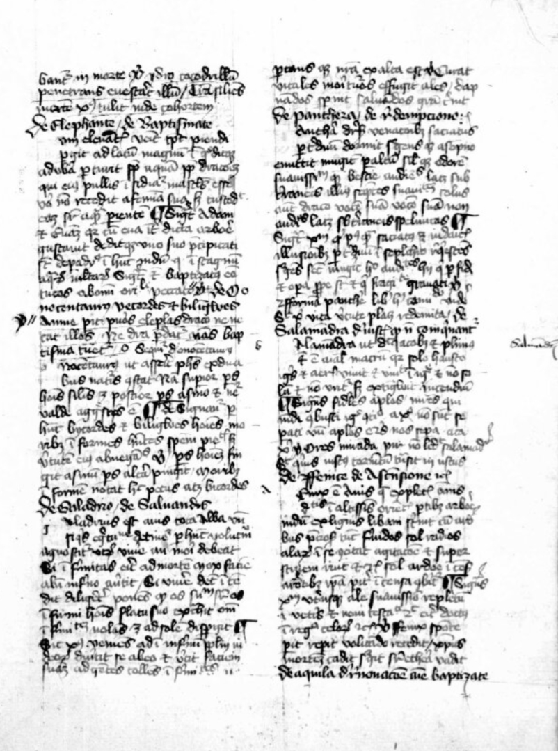 Sample page - Bayerische Staatsbibliothek Clm 14216