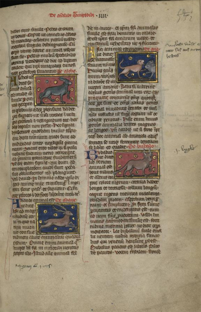 Sample page - Bibliothèque Municipale de Valenciennes MS 320