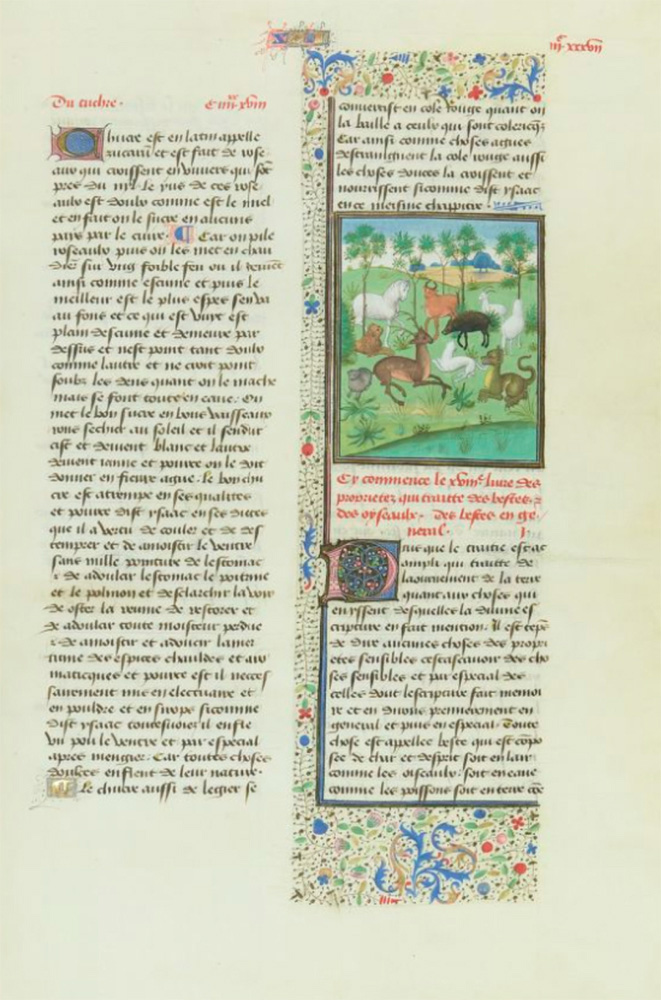 Sample page - Bibliothèque Nationale de France fr. 134