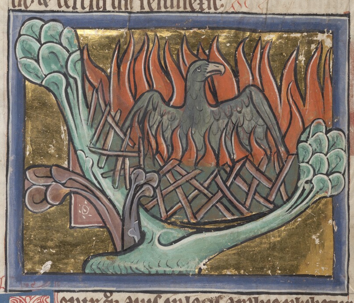 Phoenix Pyre Medieval Bestiary : Beasts : Phoenix