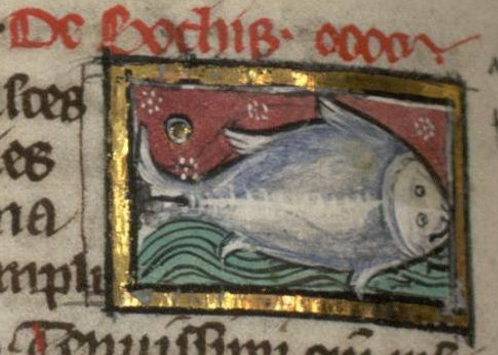 Medieval Bestiary : Beasts : Bothis