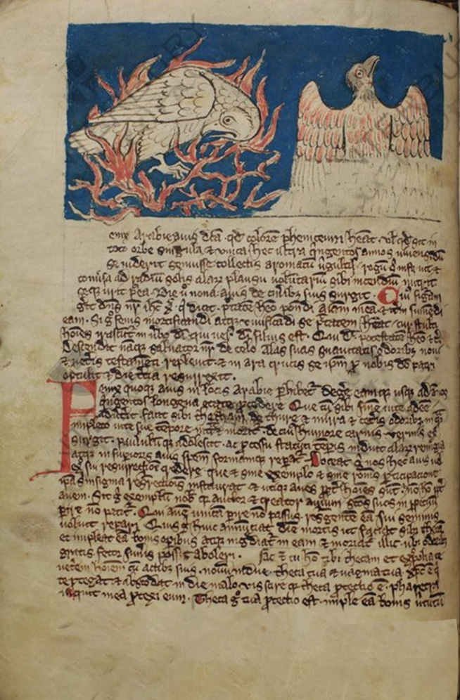 Sample page - Canterbury Cathedral Library Lit. D 10
