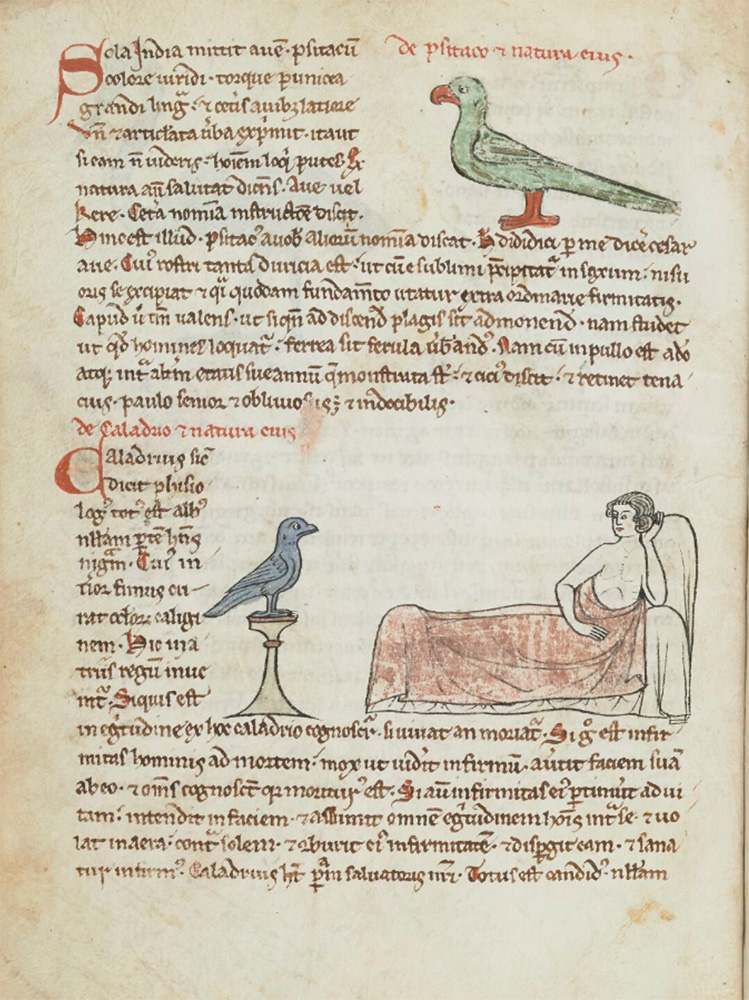 Sample page - Bibliothéque Nationale de France lat. 6838B