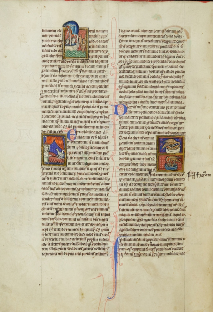 Sample page - Trinity College Library R.14.9