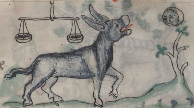 Onager braying night and day