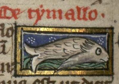 Thymallus as a generic fish