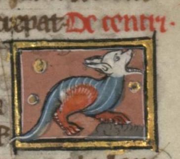 Centris as a two-legged long-eared serpent